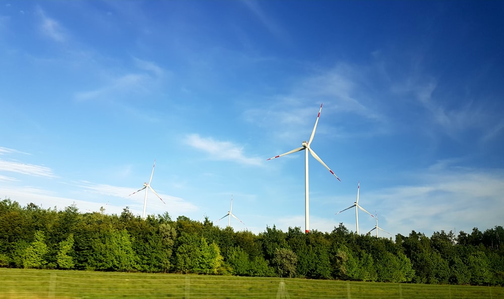 white windmill surrounded by tall tree under blue sky at daytime