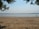 A tranquil beach scene with a wide expanse of sand stretching towards calm, shallow waters. Several people are engaged in activities such as kayaking and wading in the water. Overhanging trees frame the top of the image, with scattered leaves providing a natural border.