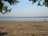 A tranquil beach scene with a wide expanse of sand stretching towards calm, shallow waters. Several people are engaged in activities such as kayaking and wading in the water. Overhanging trees frame the top of the image, with scattered leaves providing a natural border.