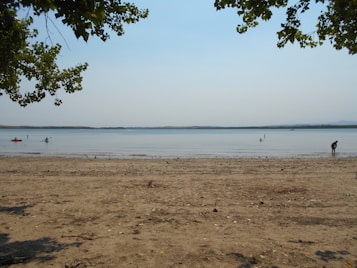 A tranquil beach scene with a wide expanse of sand stretching towards calm, shallow waters. Several people are engaged in activities such as kayaking and wading in the water. Overhanging trees frame the top of the image, with scattered leaves providing a natural border.