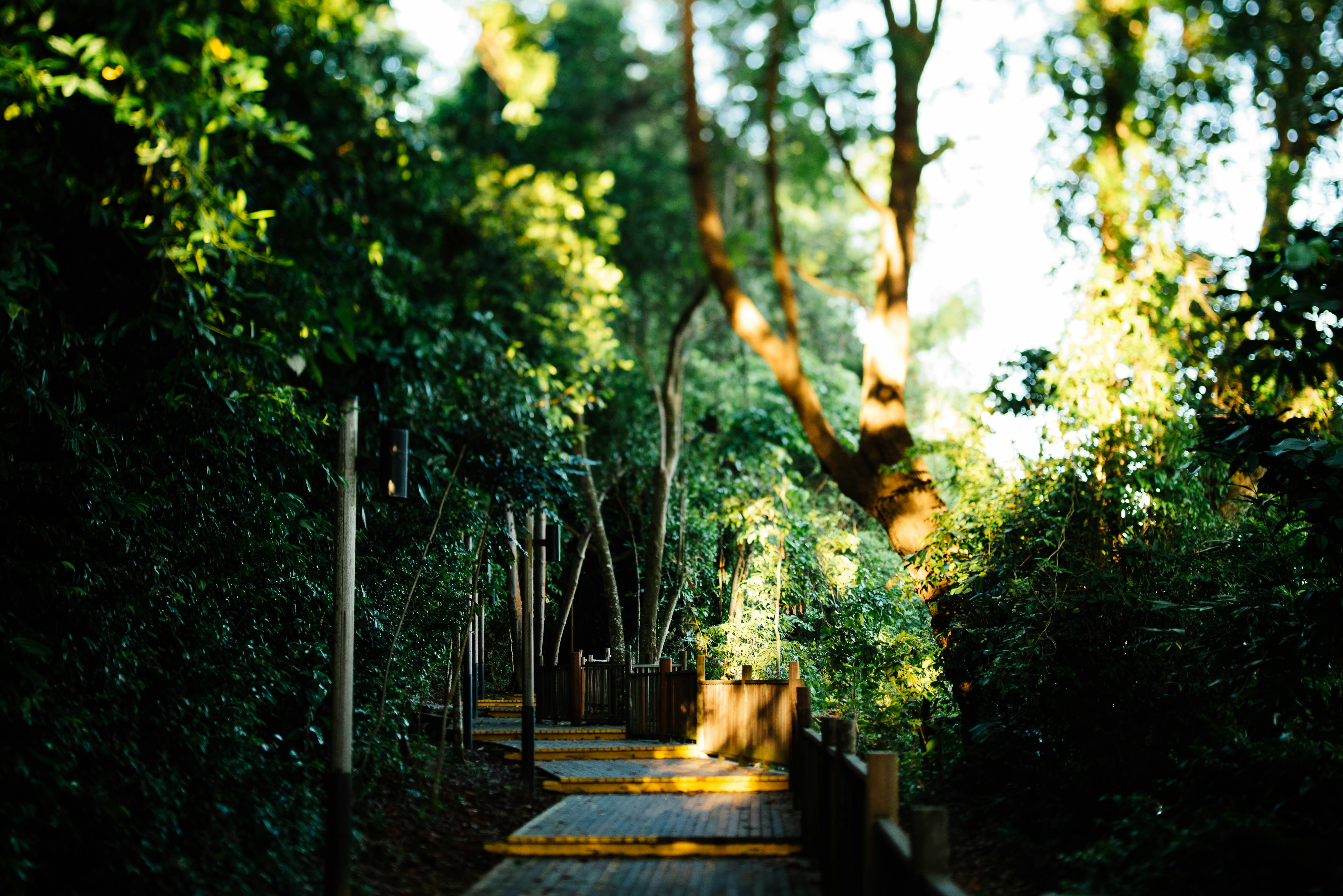 Photo by chuttersnap