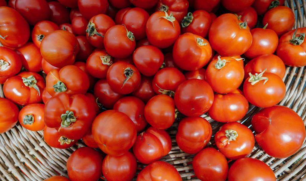 Juicy Red Tomatoes