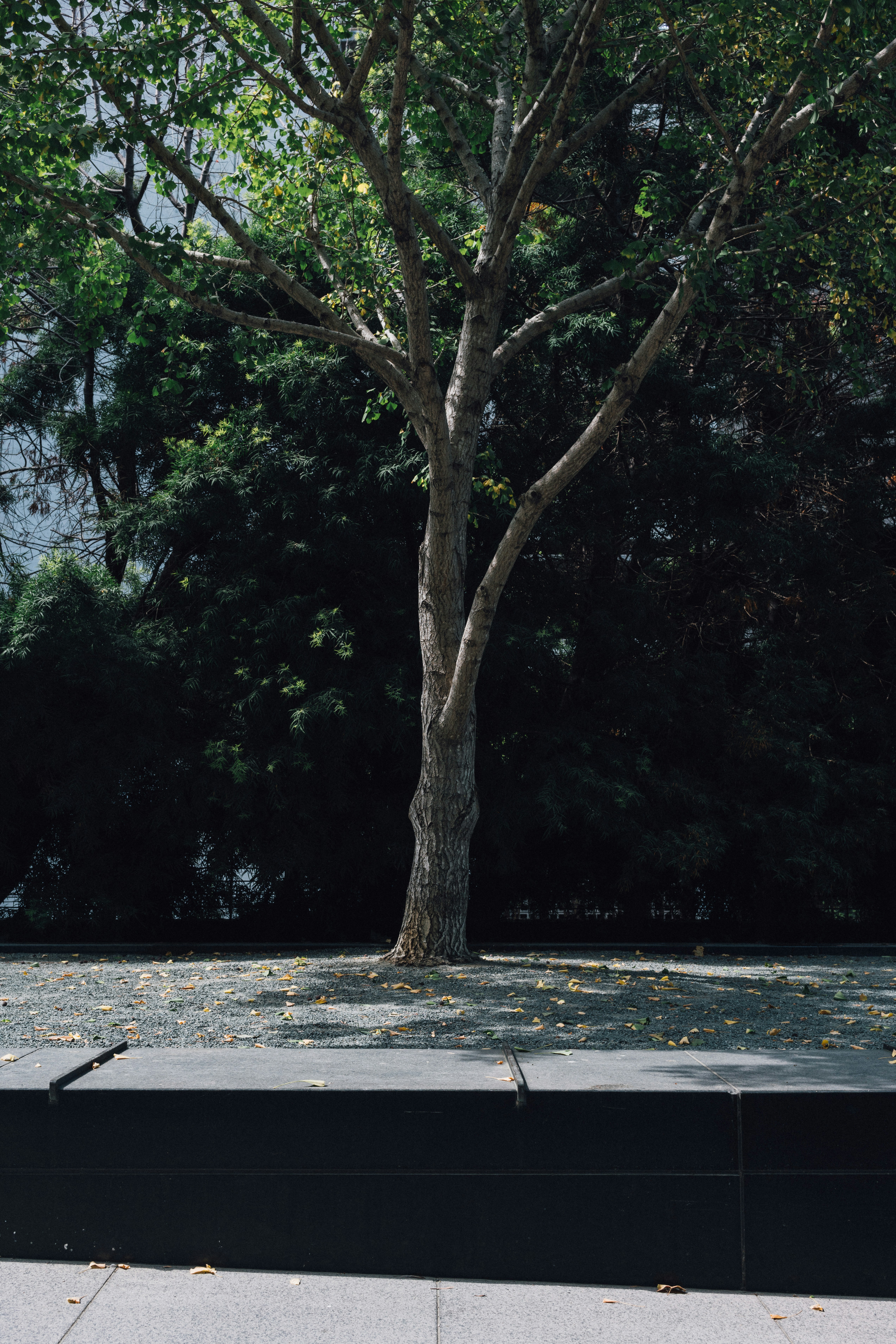 Photo by thommilkovic