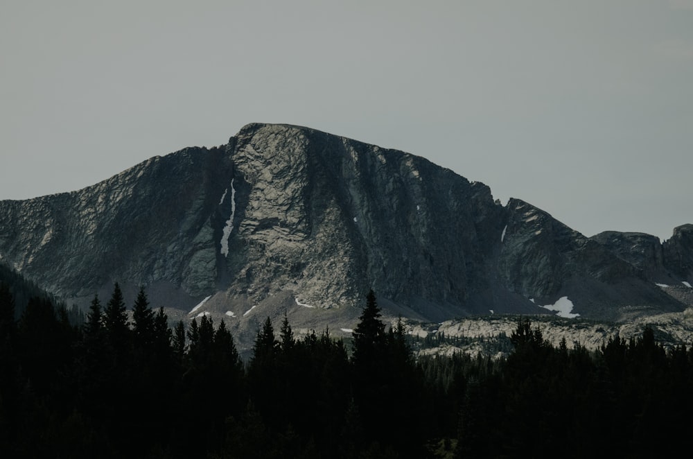 silhouette d’arbres avec montagne en arrière-plan