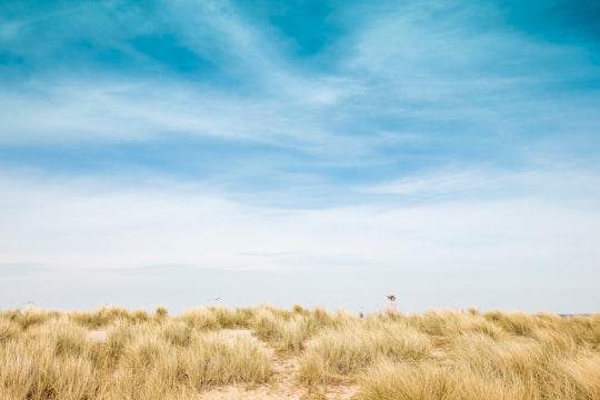 photo of Copenhagen Plain near Kronborg