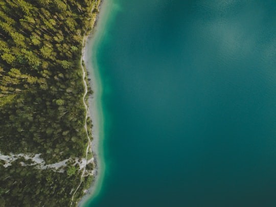 bird's eye view of island and sea in Plansee Austria