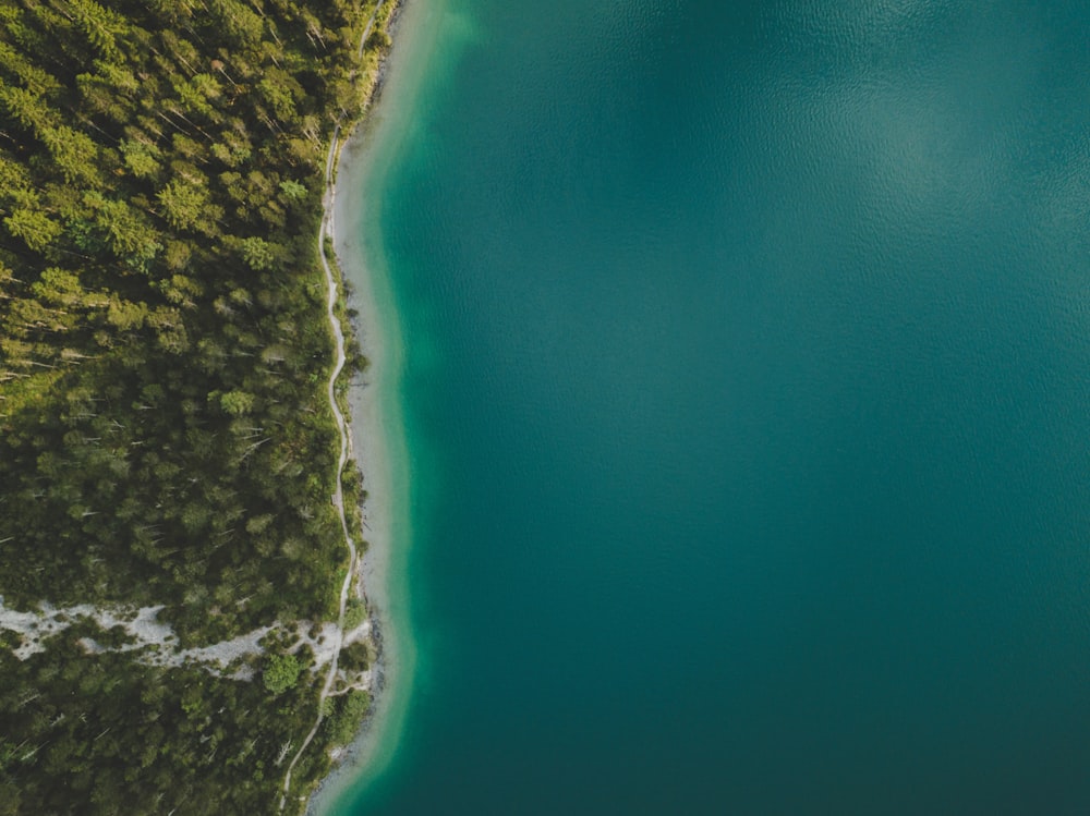 bird's eye view of island and sea