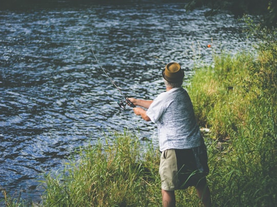 photo of River Feale Recreational fishing near Muckross Lake