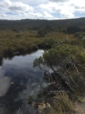 A serene natural landscape representing harmony with nature.