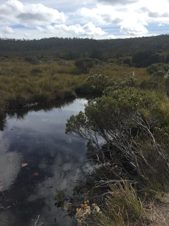 A serene natural landscape representing harmony with nature.