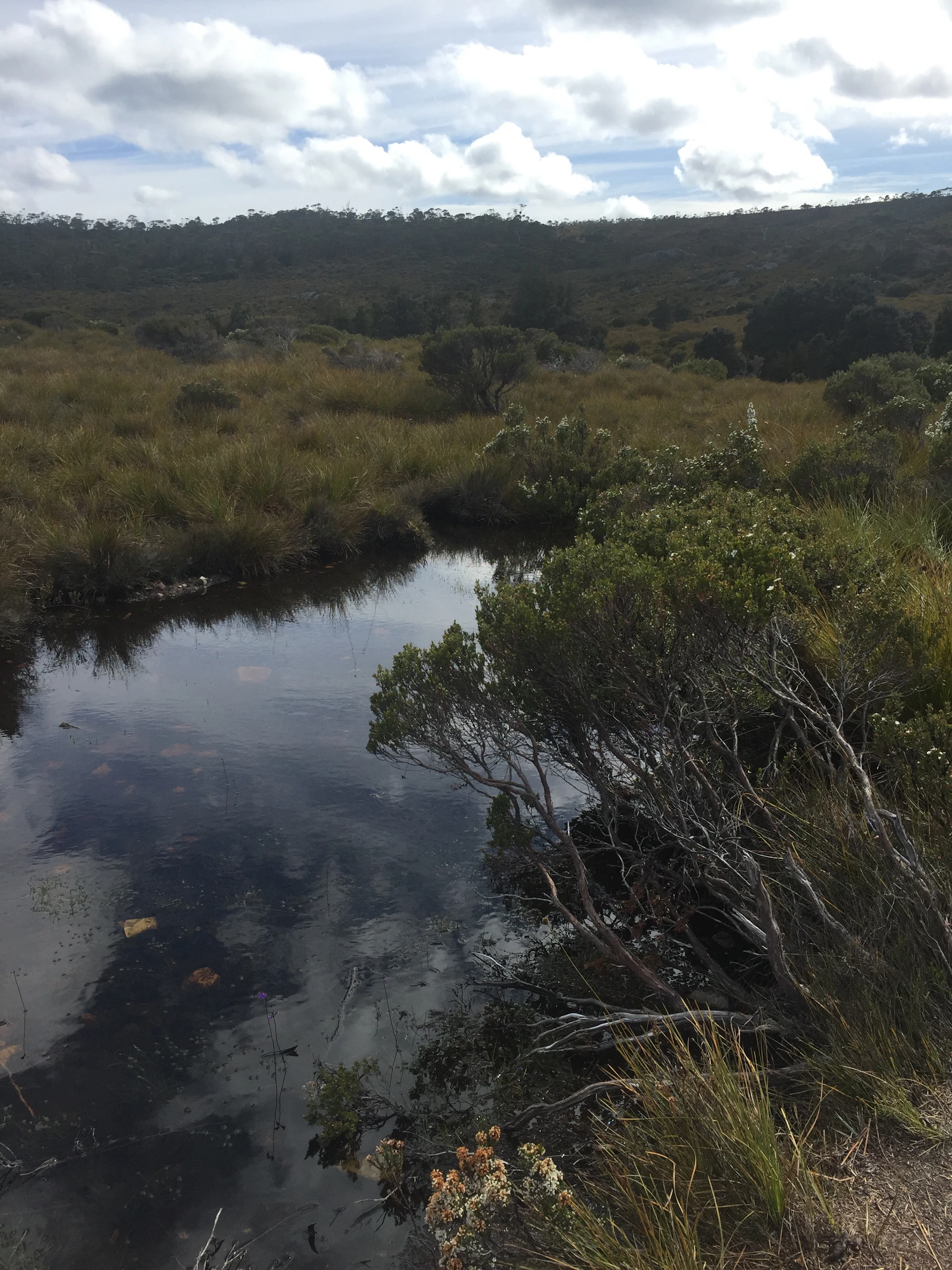 A peaceful outdoor scene featuring natural elements that inspire the essence of the brand.