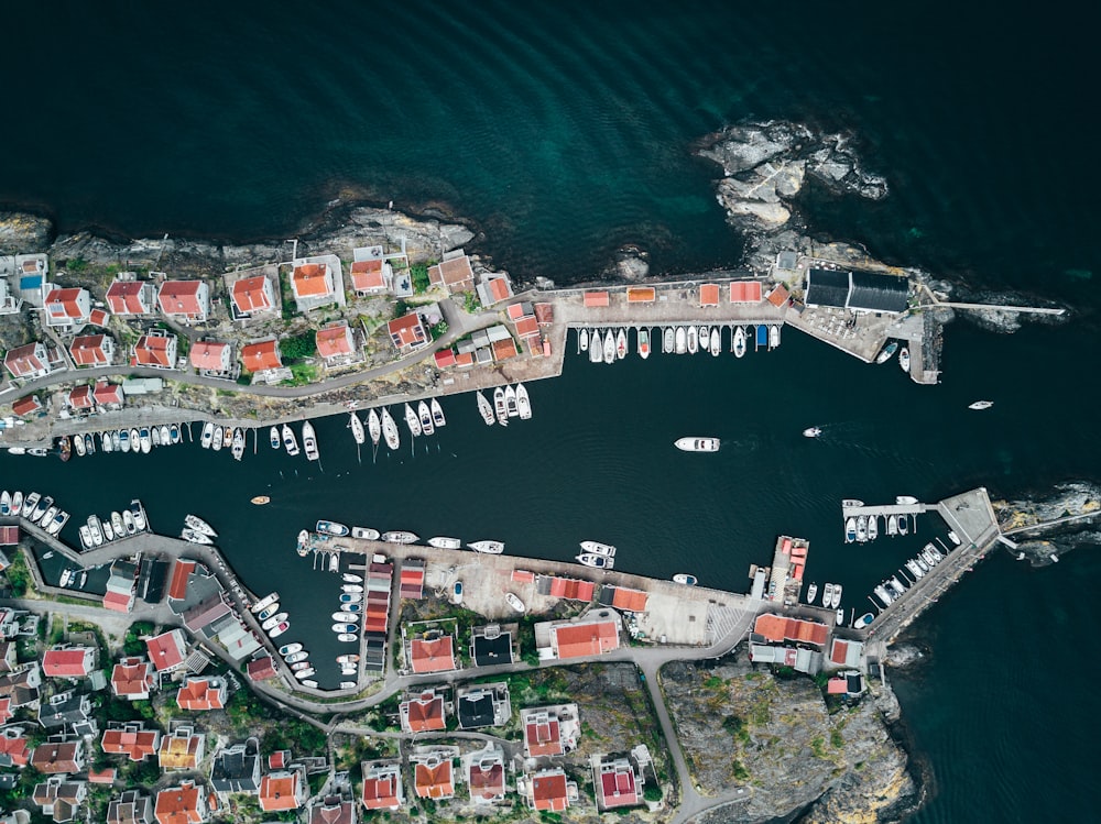 aerial photography of docked boats