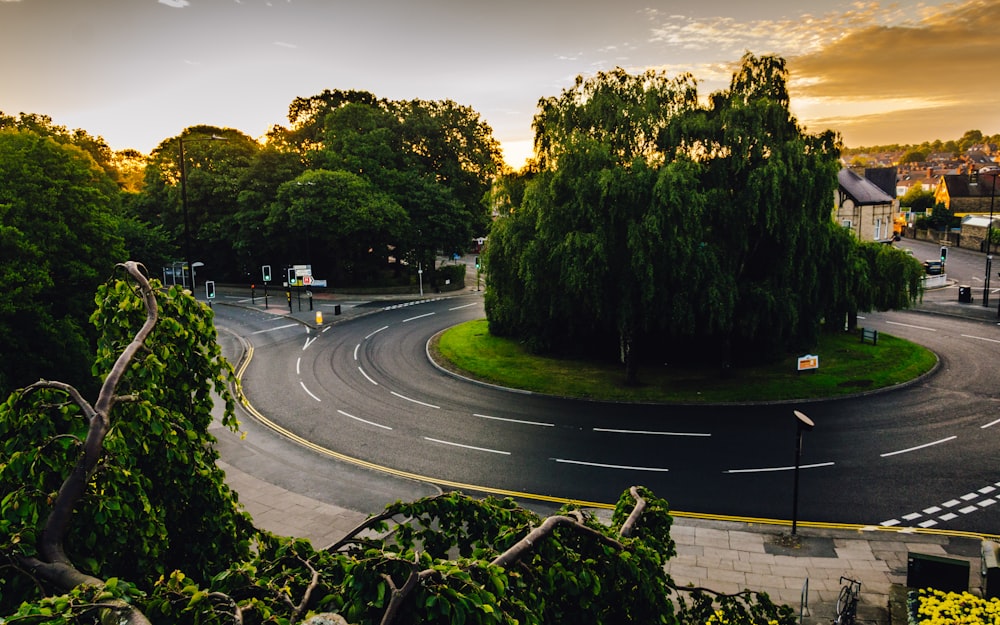 green trees between intersection road