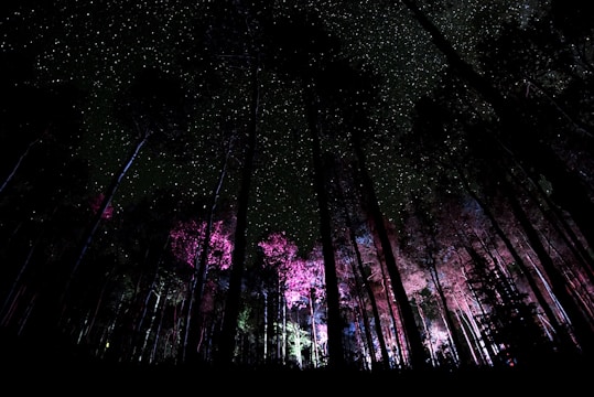 Enchanting forest scene with heroes battling mythical creatures under a glowing moon.