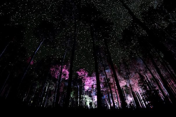 A mystical forest with ancient trees and a distant castle under a twilight sky.