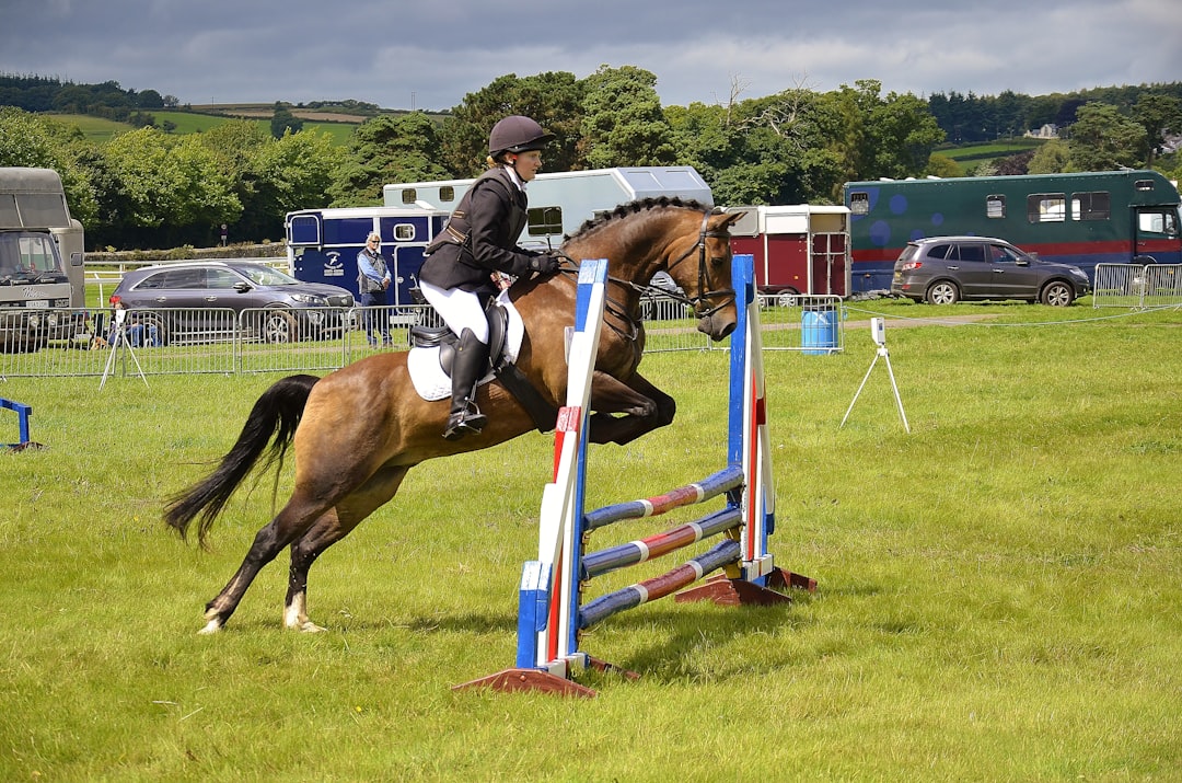 person doing polo sport, Taken at Chepstow show 2017 at Chepstow Racecourse. UK