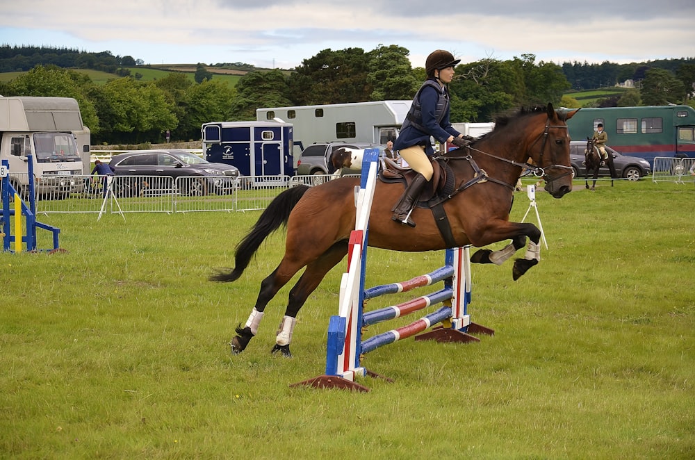 person riding on horse performing sport