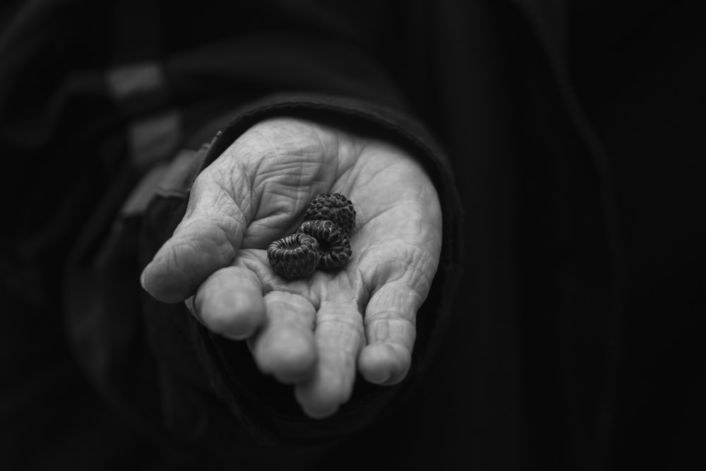 person holding three berries