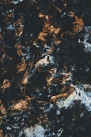 A close-up view of charcoal and ashes, with dark black coals interspersed with white ash and occasional reddish-brown hues.