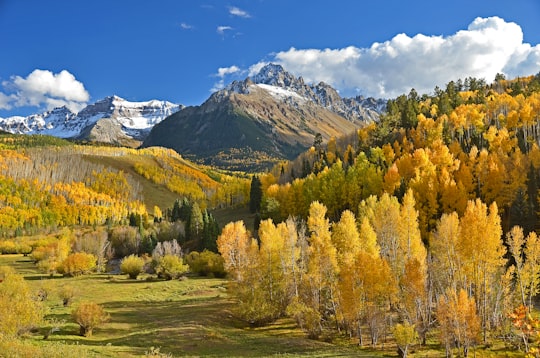 green and beige trees beside mountains in Ridgway United States