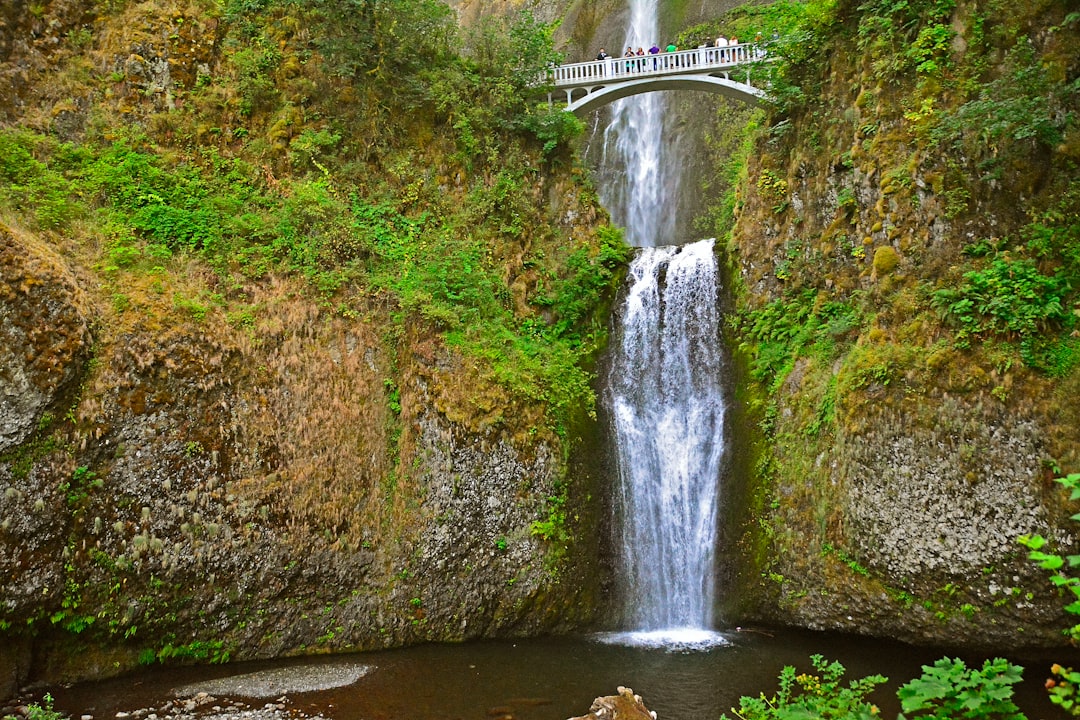 people standing on bridge above waterfalls during daytime