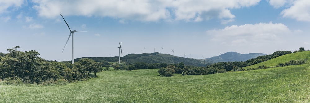 white windmill beside trees