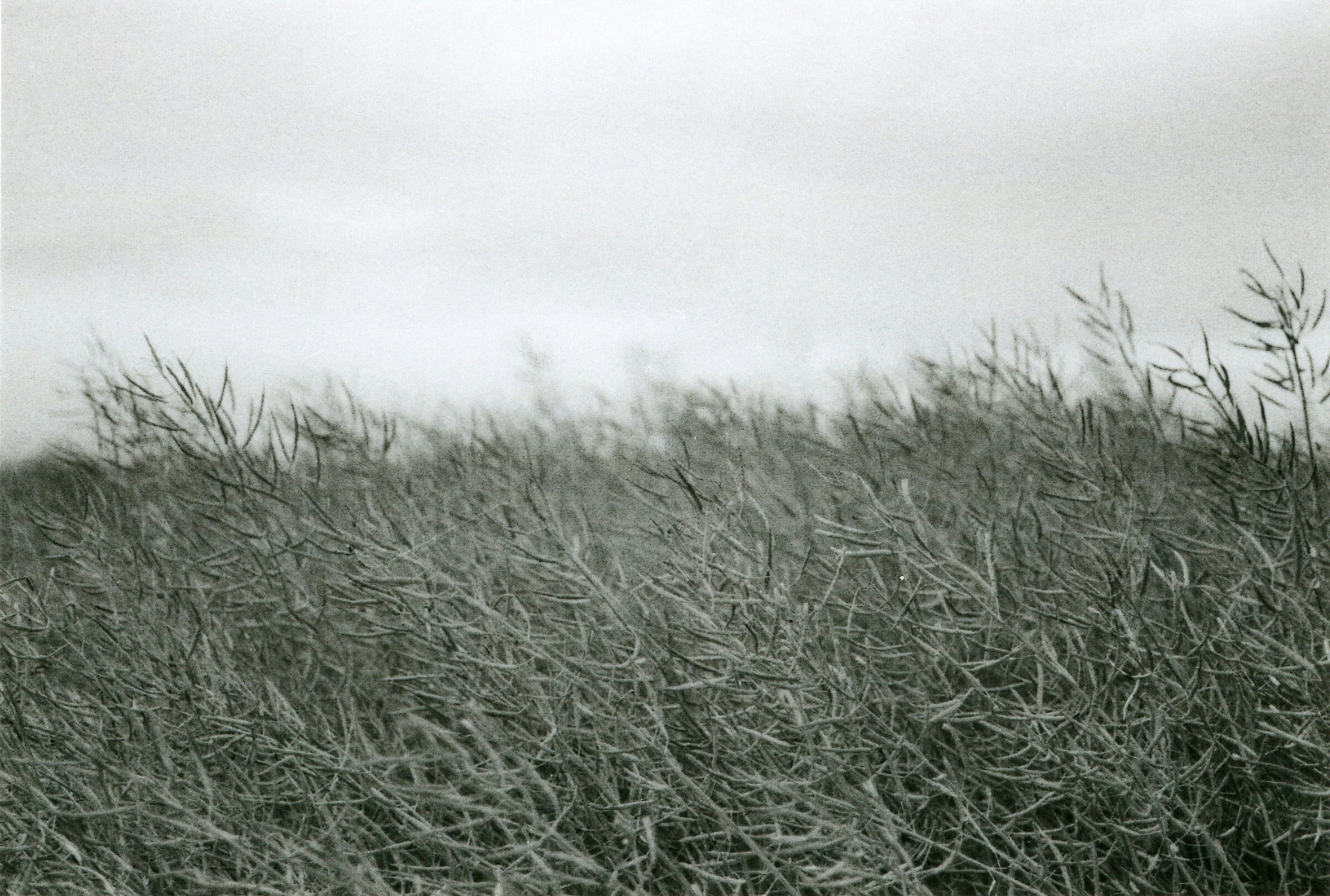 Photo by julianhochgesang