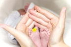 person holding baby's toe with yellow petaled flower in between
