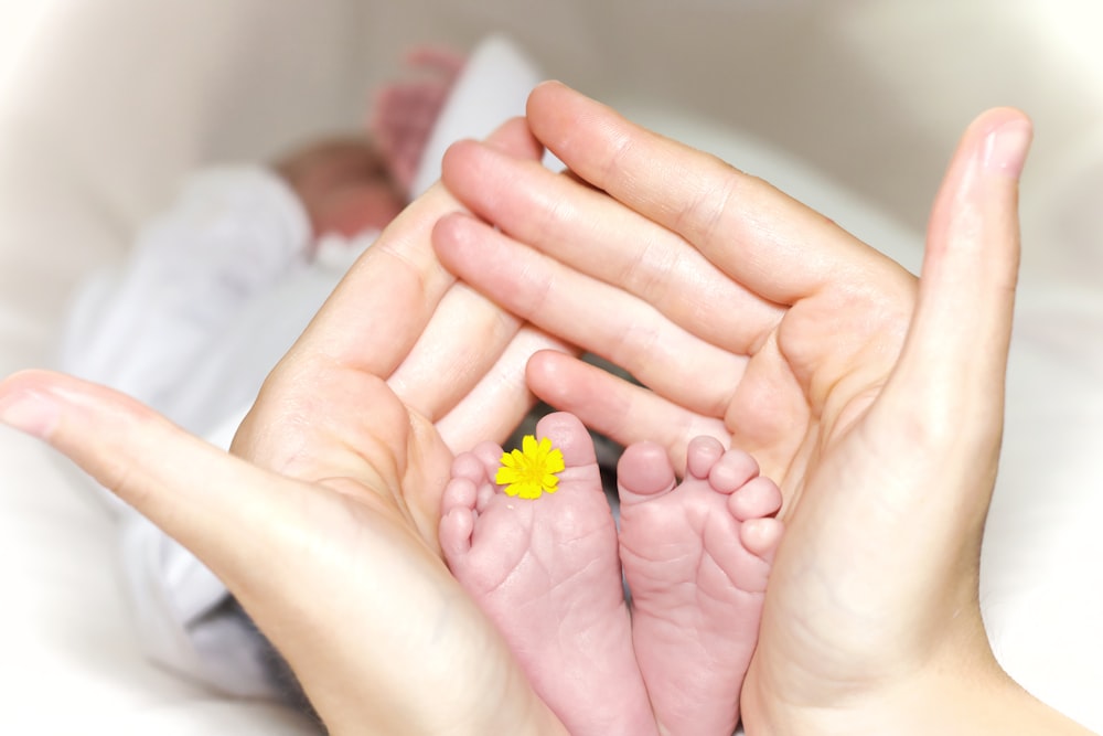 黄色い花びらの花を挟んだ赤ん坊のつま先を持つ人
