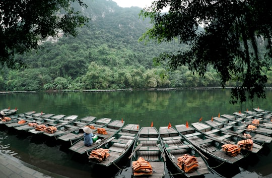 jon boats on river surrounded by trees in Ninh Bình Vietnam