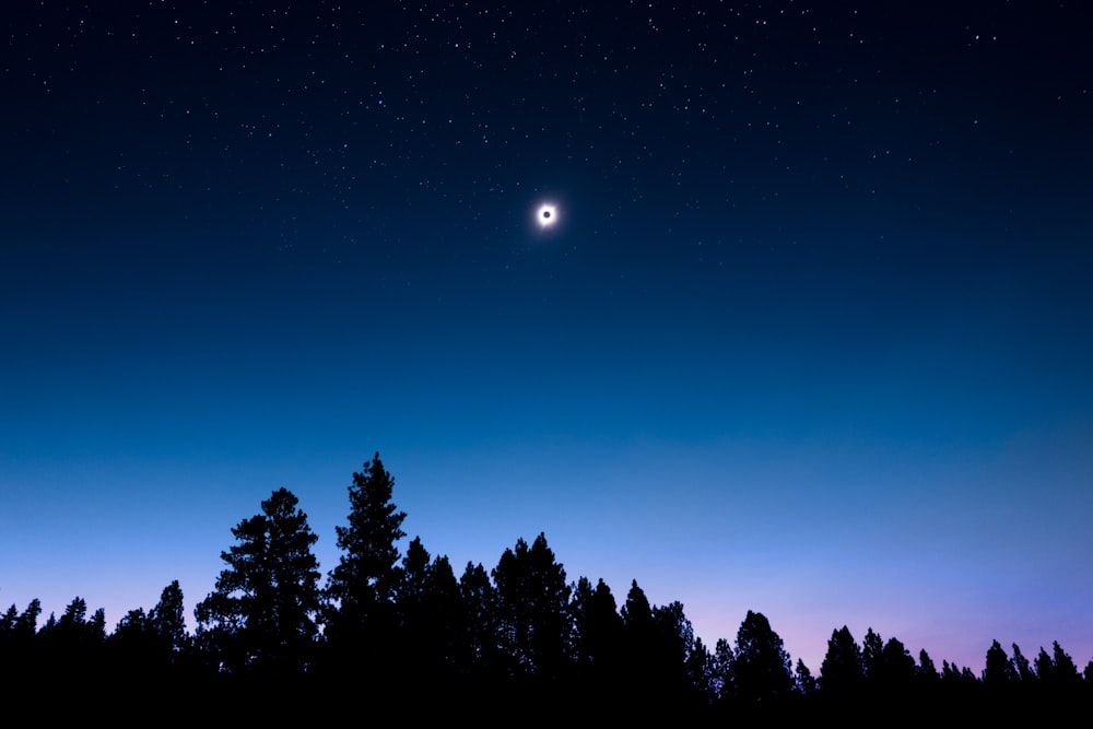 Vista del eclipse lunar durante la noche