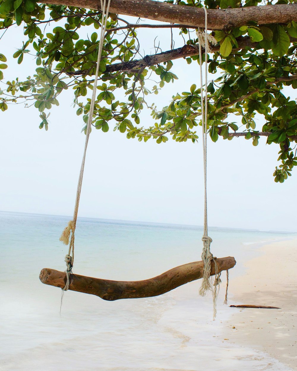 brown swing bench made out of tree trunk near the seashore