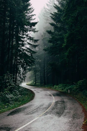Strategin \\ The Way Through the Forest