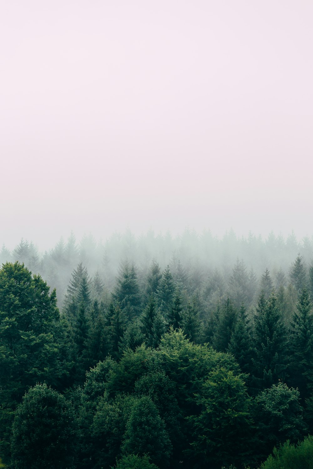 Quiet strength in emotional growth
