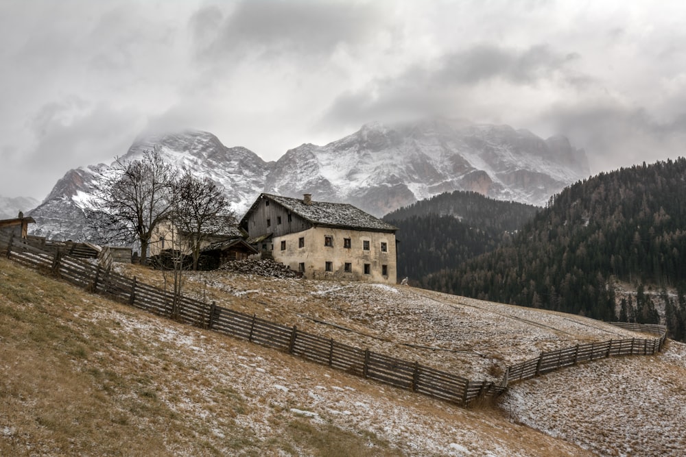 maison près d’un arbre au sommet de la montagne