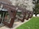 Large wooden structures with angular designs are placed along a glass window wall. The wooden beams are dark brown and are secured with metal brackets. Behind the structures, a tree full of white blossoms is visible, adding a natural contrast to the scene. The foreground features a grassy area with a hint of gravel visible near the base of the structures.