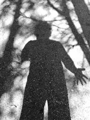 A human shadow is cast on a textured surface, possibly concrete or asphalt, with the outlines of trees or branches creating additional shadow patterns. The figure appears to have outstretched arms, creating a dramatic contrast with the ground.