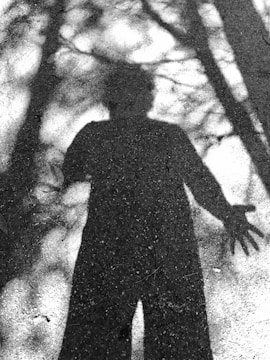 A human shadow is cast on a textured surface, possibly concrete or asphalt, with the outlines of trees or branches creating additional shadow patterns. The figure appears to have outstretched arms, creating a dramatic contrast with the ground.