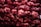 Stacks of red mesh bags filled with round objects arranged closely together, creating a textured pattern. The bags are tightly knotted at the top and sides, suggesting storage or transport.