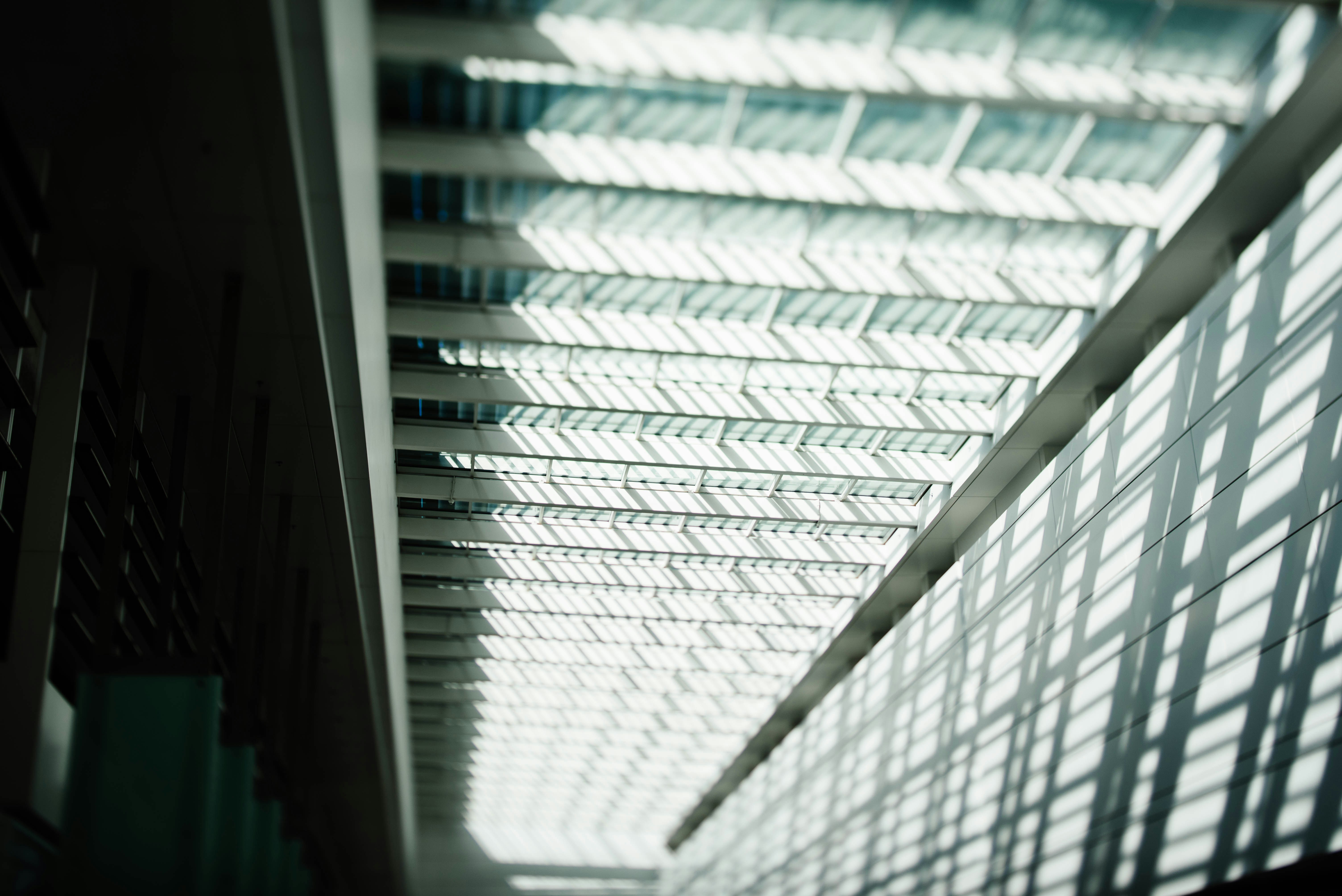 Photo by chuttersnap