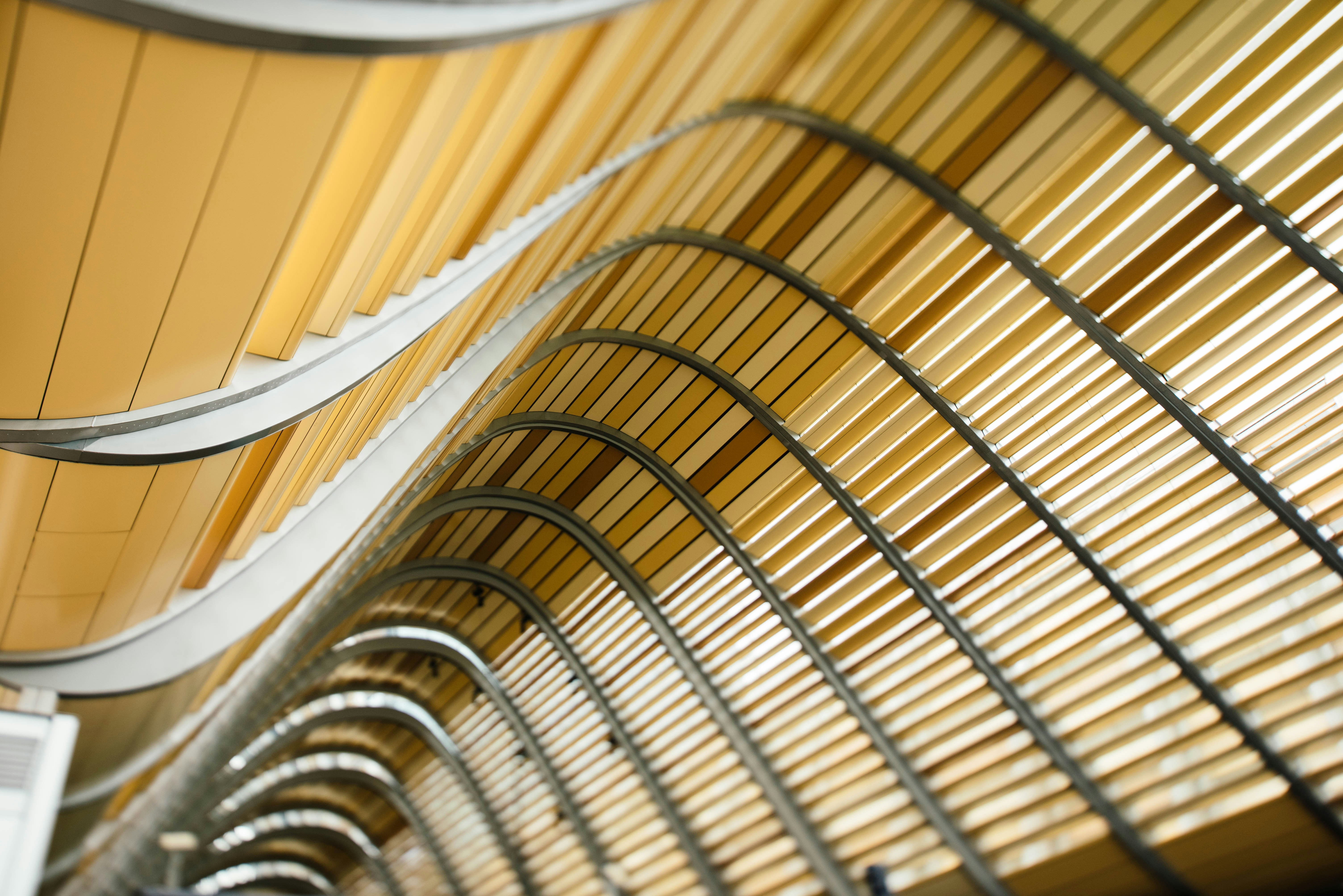 Photo by chuttersnap