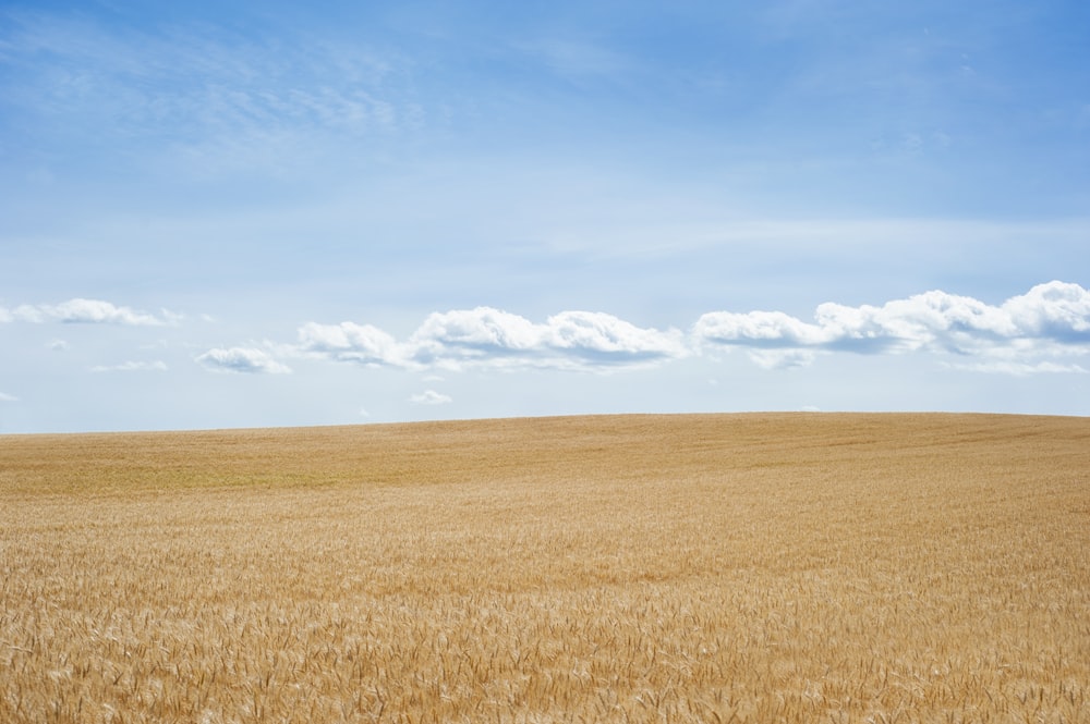 Désert sous un ciel bleu