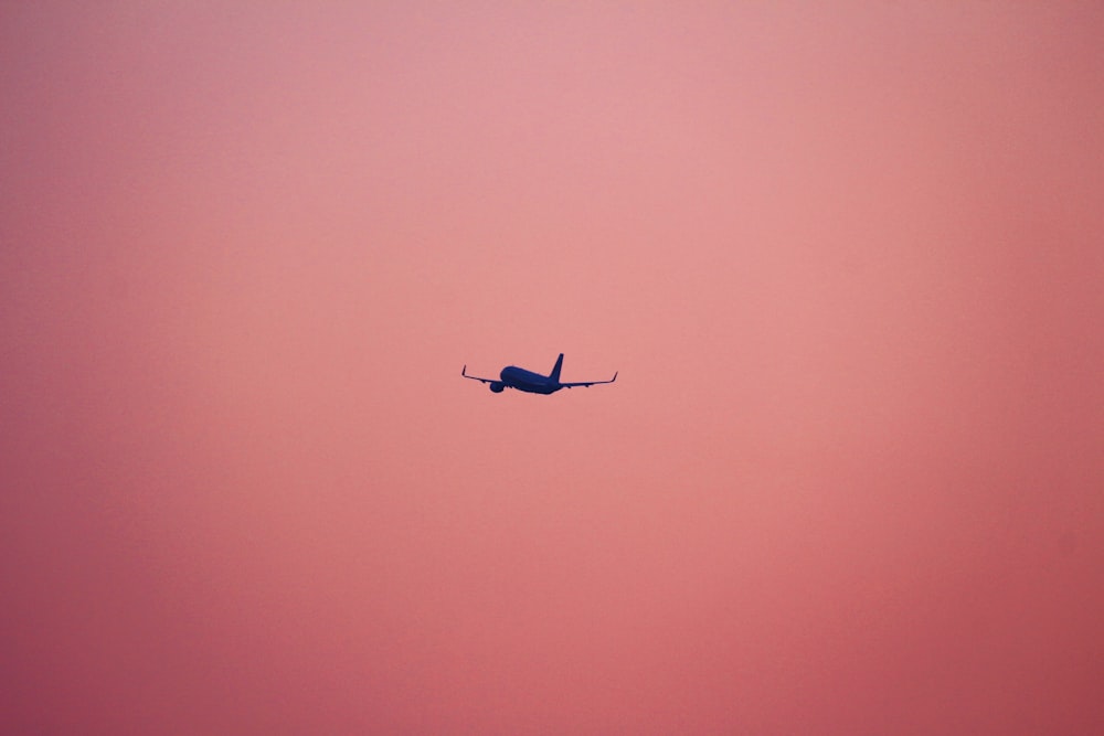 aereo che vola su sfondo rosa