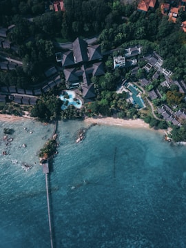 An aerial view of a coastal area featuring a collection of buildings surrounded by dense greenery. A long pier extends out into the clear turquoise water towards a small structure at the end. The shoreline is sandy and lined with palm trees, with a pool visible near the buildings.