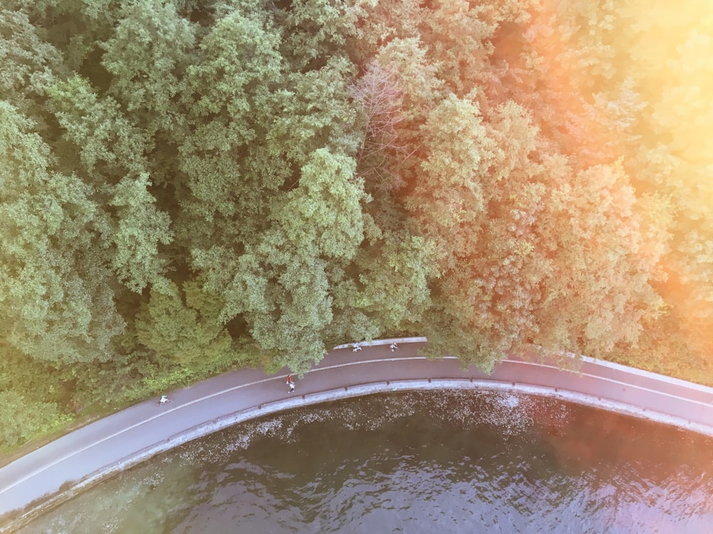 fotografia aerea della strada tra gli alberi e lo specchio d'acqua