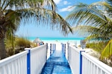 blue and white wooden bride near ocean