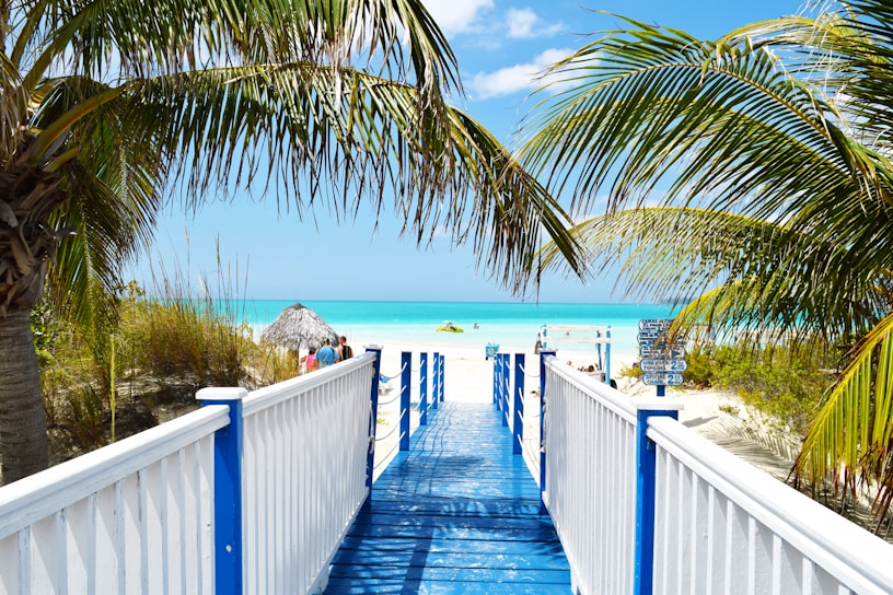 blue and white wooden bride near ocean