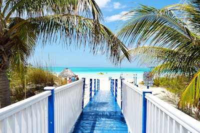 blue and white wooden bride near ocean