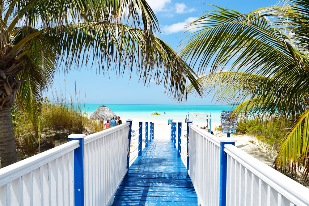 blue and white wooden bride near ocean