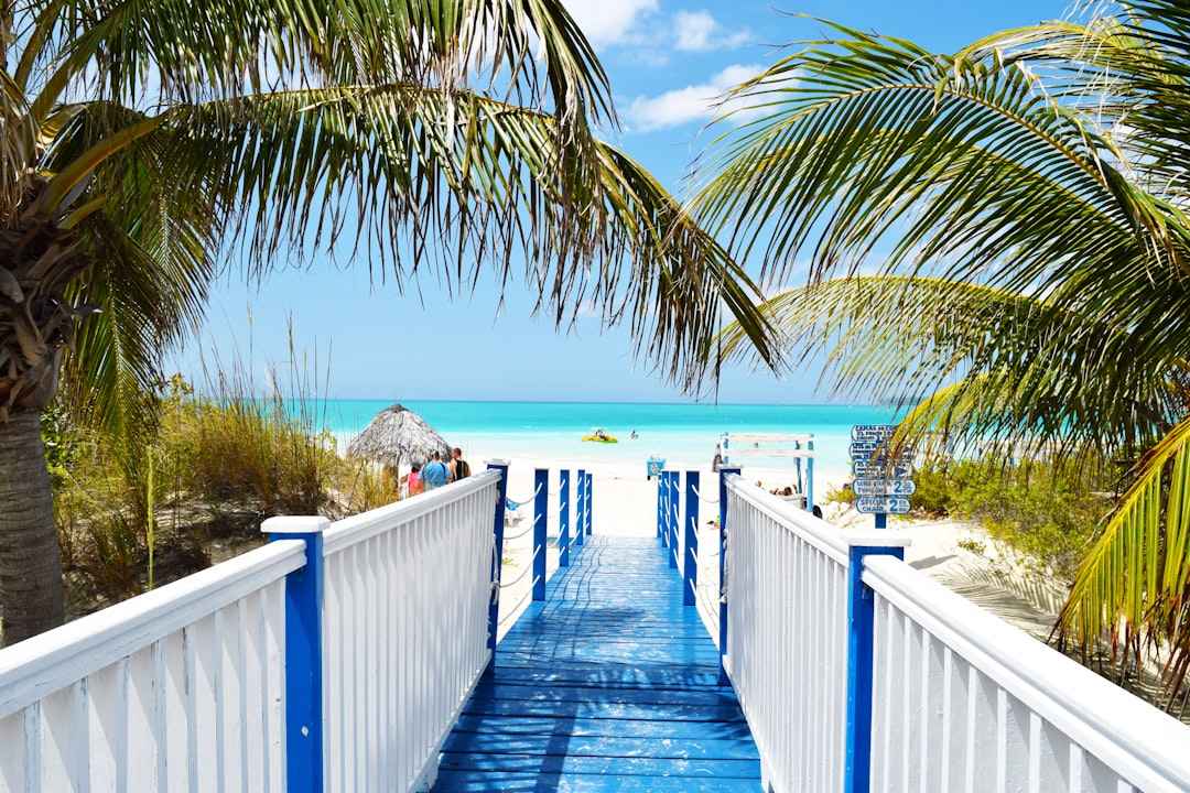 blue and white wooden bride near ocean, What’s ahead